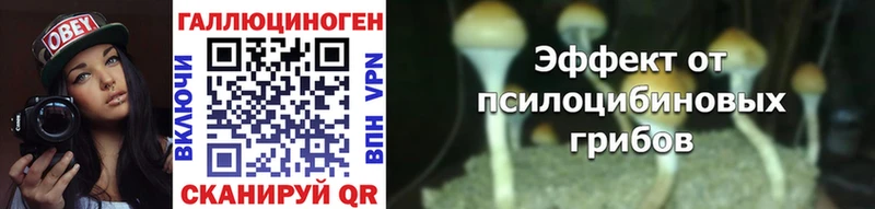 Псилоцибиновые грибы Magic Shrooms  ссылка на мегу ССЫЛКА  Северодвинск  закладка 