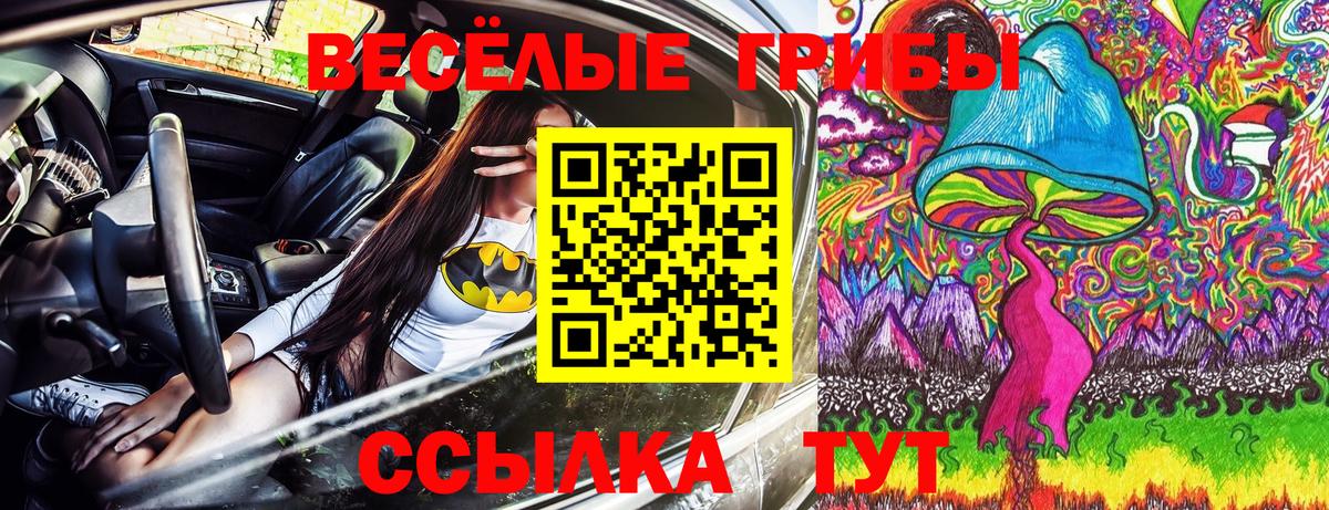 Псилоцибиновые грибы мицелий Северодвинск